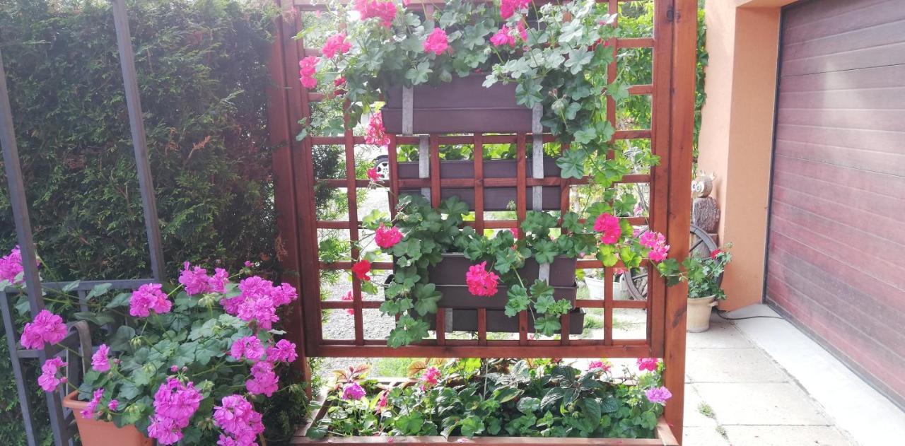 Apartmany U Jirousu Rokytnice nad Jizerou Exterior foto